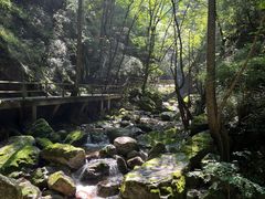 -牛背梁国家森林公园
