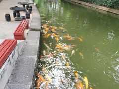 -珠海圆明新园