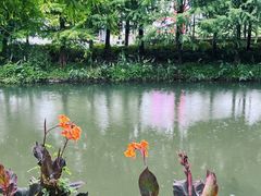 -昆山城市生态森林公园