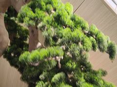 -上海市第一医药商店(南京东路店)