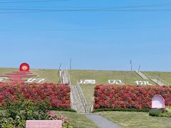 -佛手湖郊野公园