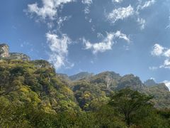 -青峰峡国家森林公园