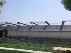 -上膳源有机蔬菜(三泉路店)