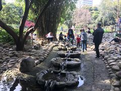 -成都市活水公园