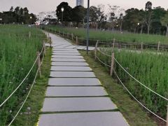 -深圳湾公园(南山区)