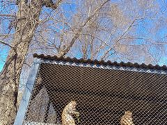 -长白岛森林公园