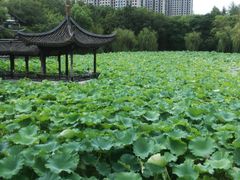 -高子水居
