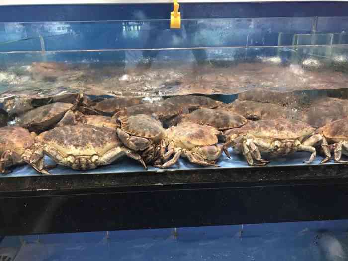 东江渔村(太和店)-"之前国庆期间来过一次,坐大厅,这次妈妈生.