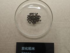 -岳阳市博物馆