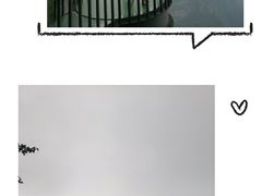-张家界天门山国家森林公园