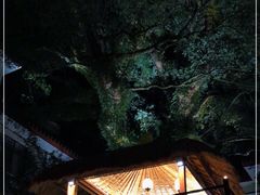 -普陀山雷迪森庄园
