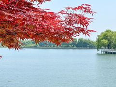 -蟹天蟹地农家菜·阳澄湖大闸蟹(浅水湾店)