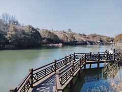 -白马涧龙池景区