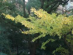 -汇龙潭