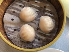 -深圳富苑皇冠假日套房酒店