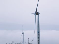 -盐洲岛