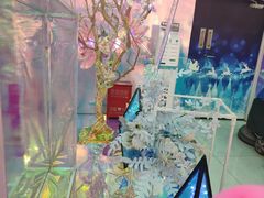 -巴黎春天(浦建店)
