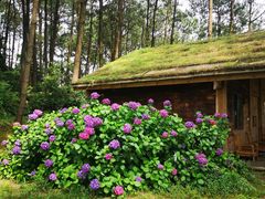 -重庆雨台山风景区