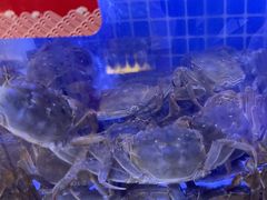 -七欣天香辣蟹火锅(淮安璟和名城店)
