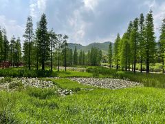 -广州市石门国家森林公园