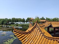 -金银湖国家城市湿地公园