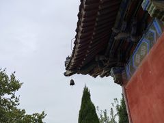 -洛阳白马寺