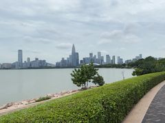 -深圳湾公园(南山区)