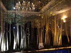 -东方明珠老上海8号餐厅(东方明珠广播电视塔店)