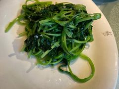 清炒鸡毛菜-苏浙汇(朝外店)