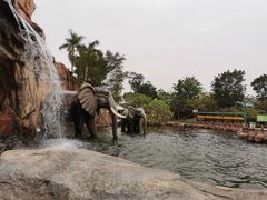 -美的鹭湖探索王国