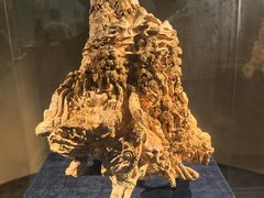 -香市公园-中国沉香文化博物馆