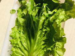 -正能量脆肉鲩火锅