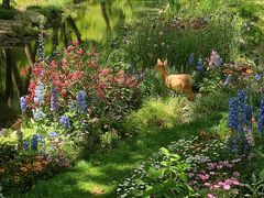 -上海共青森林公园