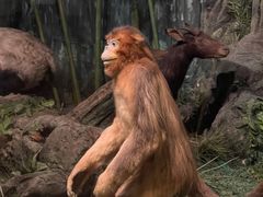 -吉林省自然博物馆