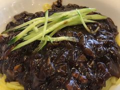 -桃园中华料理炸酱面(燕儿岛路店)