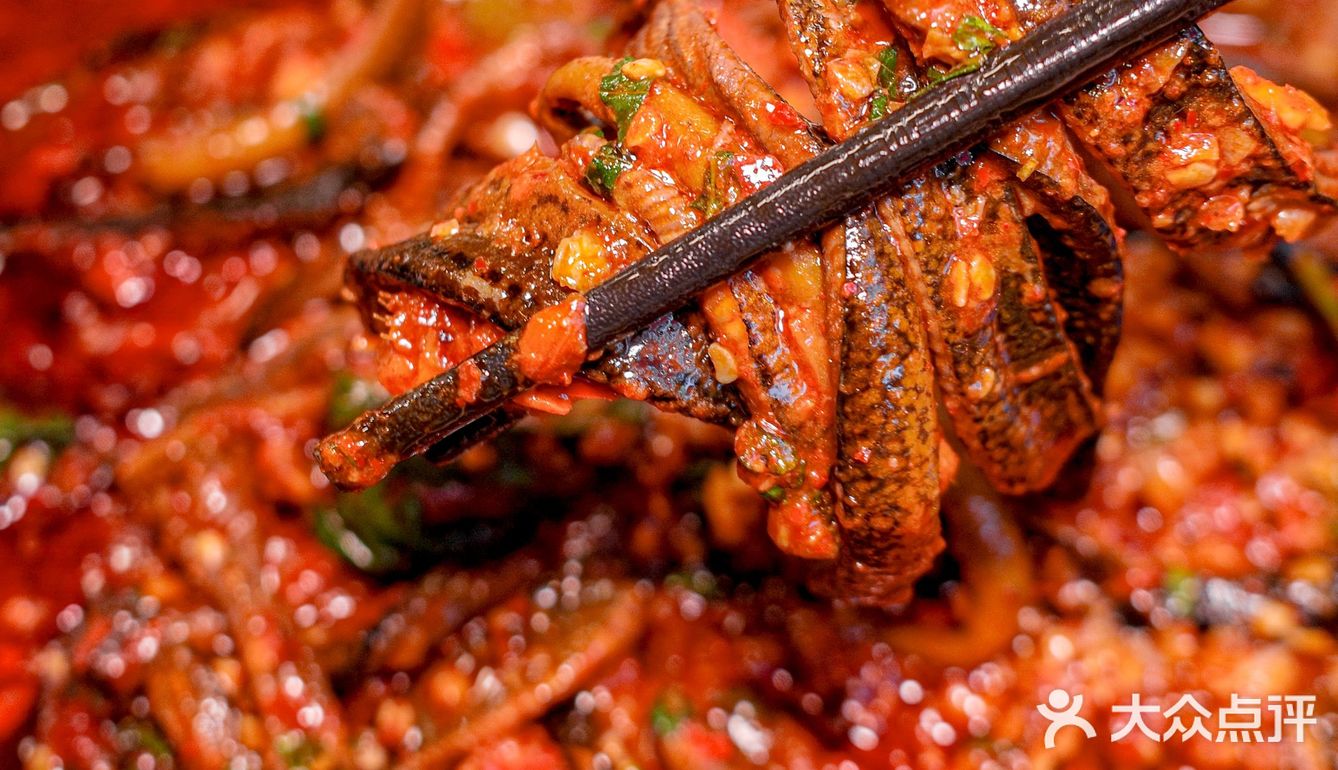 发现了一家南门好吃的川菜馆子！