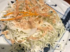 -山杏yama-katsu·吉列炸物