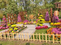 -上海共青森林公园