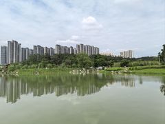 -广西壮族自治区药用植物园