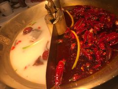 -小龙翻大江文化火锅(宽窄店)