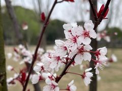 -韩湘水博园
