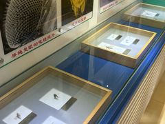 -上海昆虫博物馆