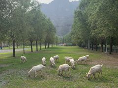 -十渡东湖港风景区