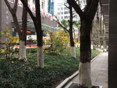 -重庆医科大学附属口腔医院(冉家坝院区)