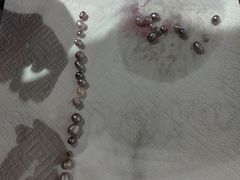 -十八字金·银饰·开蚌DIY·手工体验团建(魏公芳华里店)