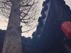 -南翔古镇