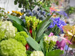 -双季花艺园艺市场(浦东店)