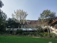 -中国茶叶博物馆(双峰馆区)