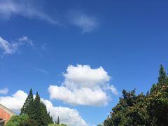 -江湾体育中心游泳馆