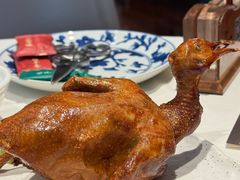 -侨美食家·40年地道粤菜(珠江新城店)